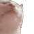 catjamspin